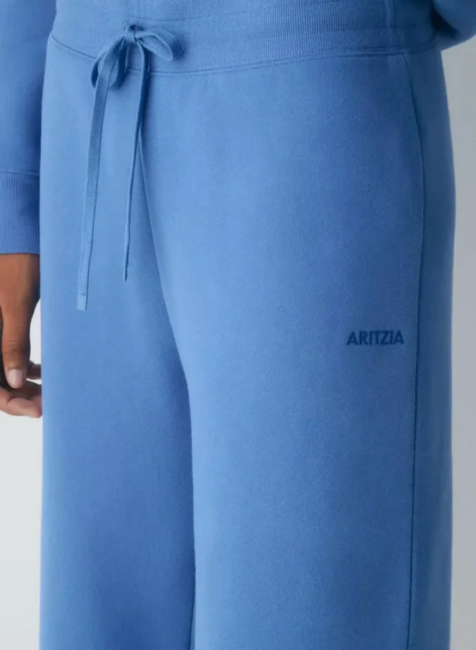 Cozy Sweatfleece de Aritzia. Pantalones de chándal con banda perfecta Cozy Sweatfleece de Aritzia. Pantalones de chándal con banda perfecta