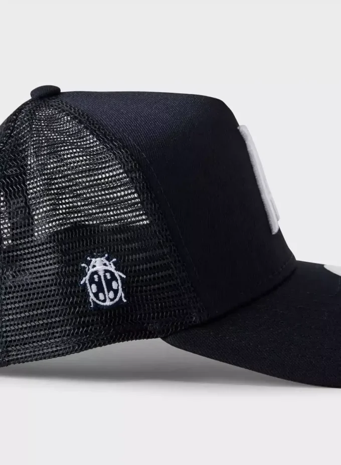 Gorra New Era X Aritzia 9forty A-frame