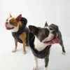 The Super Ruff Puff™ – Hi-Gloss The Super Ruff Puff™ – Hi-Gloss